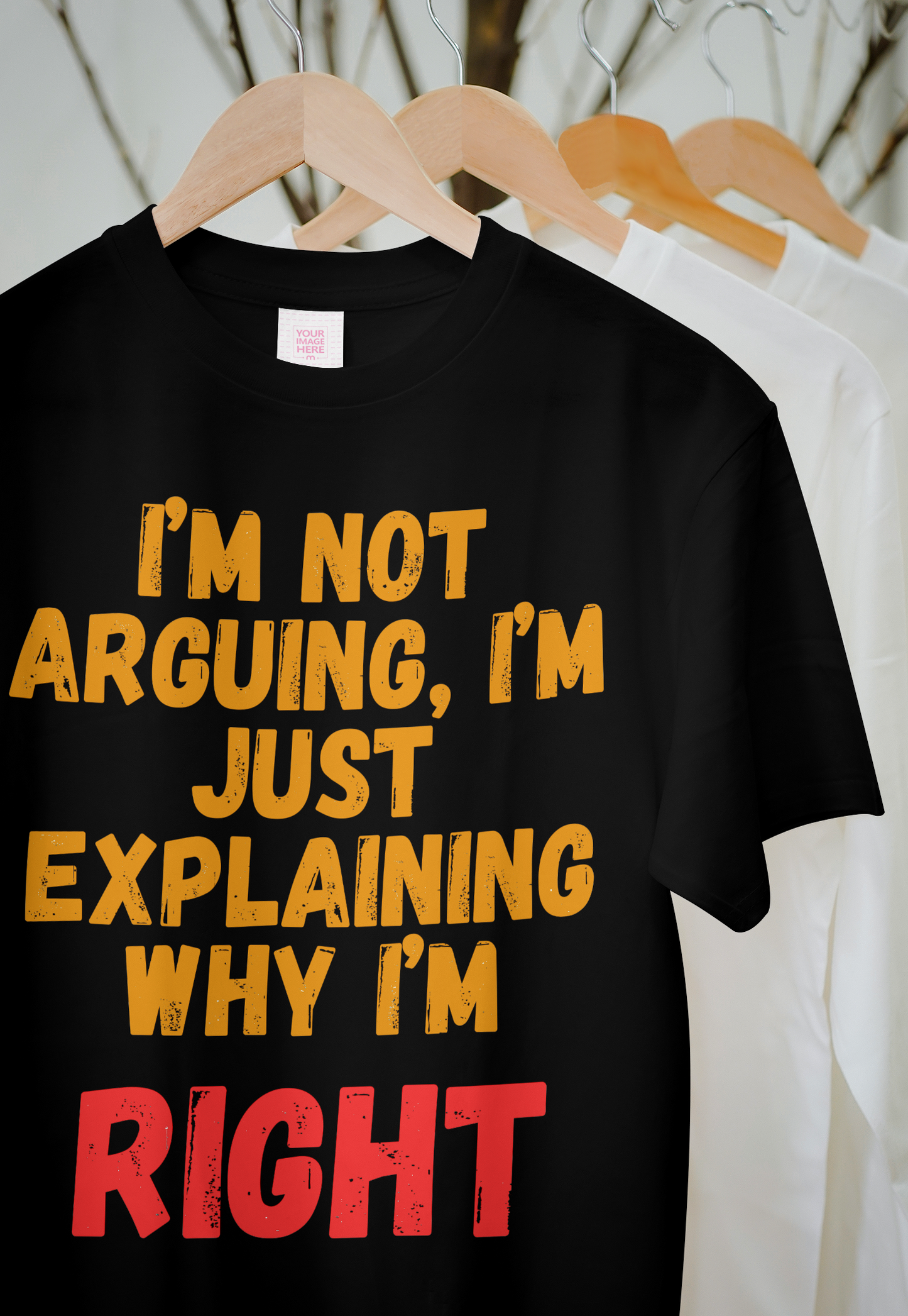 "I’m Not Arguing, I’m Just Explaining Why I’m Right" – Oversized Fun & Bold T-shirt
